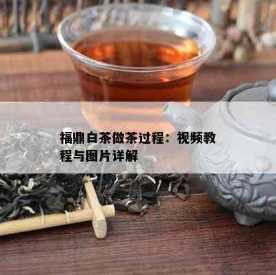 福鼎白茶做茶过程：视频教程与图片详解