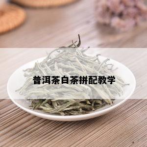 普洱茶白茶拼配教学