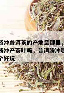 腾冲普洱茶的产地是那里，腾冲产茶叶吗，普洱腾冲哪个好玩