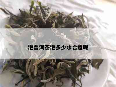 泡普洱茶泡多少水合适呢