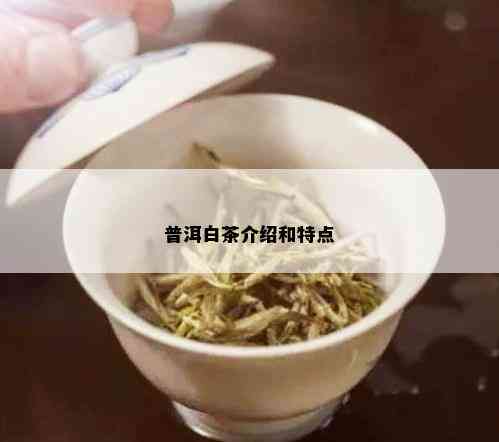 普洱白茶介绍和特点