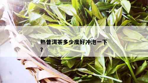 熟普洱茶多少度好冲泡一下？