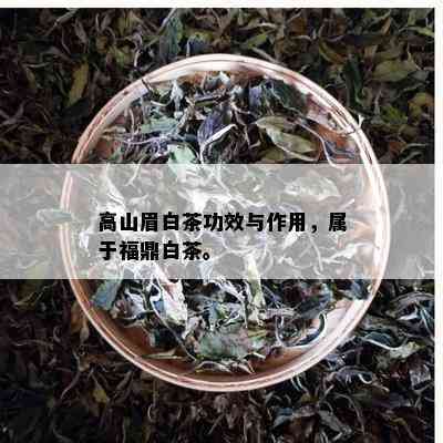 高山眉白茶功效与作用，属于福鼎白茶。