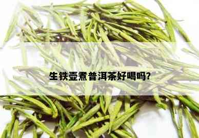 生铁壶煮普洱茶好喝吗？