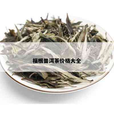 福根普洱茶价格大全