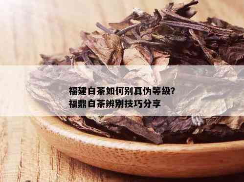 福建白茶如何别真伪等级？福鼎白茶辨别技巧分享