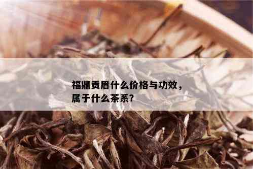 福鼎贡眉什么价格与功效，属于什么茶系？