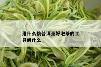 用什么撬普洱茶好泡茶的工具叫什么