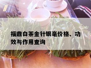 福鼎白茶金针银毫价格、功效与作用查询