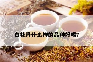 白牡丹什么样的品种好喝？