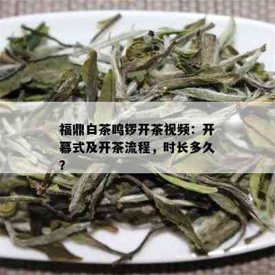 福鼎白茶鸣锣开茶视频：开幕式及开茶流程，时长多久？