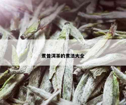 煮普洱茶的煮法大全