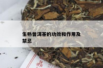 生熟普洱茶的功效和作用及禁忌