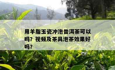 用羊脂玉瓷冲泡普洱茶可以吗？视频及茶具泡茶效果好吗？