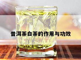 普洱茶白茶的作用与功效