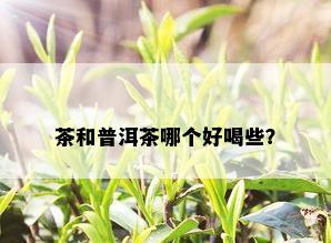 茶和普洱茶哪个好喝些？