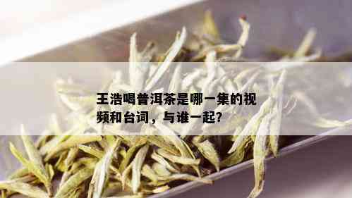 王浩喝普洱茶是哪一集的视频和台词，与谁一起？