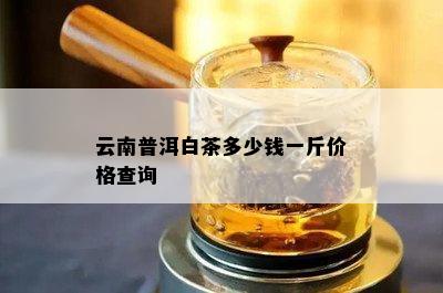 云南普洱白茶多少钱一斤价格查询