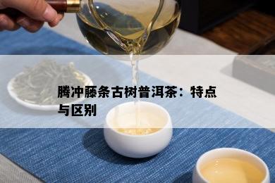 腾冲藤条古树普洱茶：特点与区别