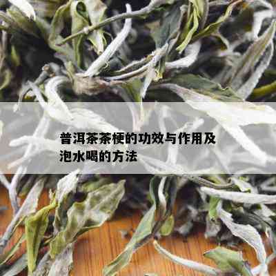 普洱茶茶梗的功效与作用及泡水喝的方法