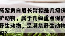 高黎贡白眉长臂猿是几级保护动物，属于几级重点保护野生动物，是濒危野生动物吗？