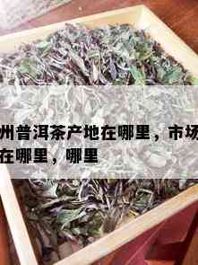 州普洱茶产地在哪里，市场在哪里，哪里