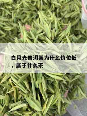 白月光普洱茶为什么价位低，属于什么茶