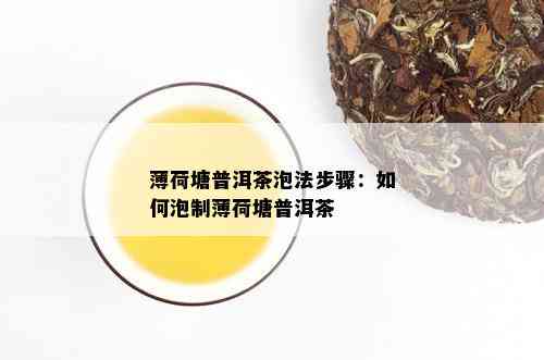 薄荷塘普洱茶泡法步骤：如何泡制薄荷塘普洱茶