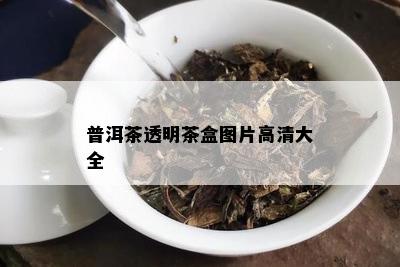 普洱茶透明茶盒图片高清大全