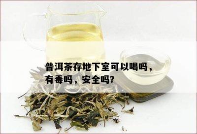 普洱茶存地下室可以喝吗，有吗，安全吗？