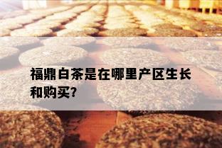 福鼎白茶是在哪里产区生长和购买？