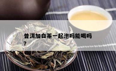 普洱加白茶一起泡吗能喝吗？