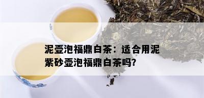 泥壶泡福鼎白茶：适合用泥紫砂壶泡福鼎白茶吗？