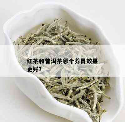 红茶和普洱茶哪个养胃效果更好？