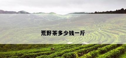 荒野茶多少钱一斤