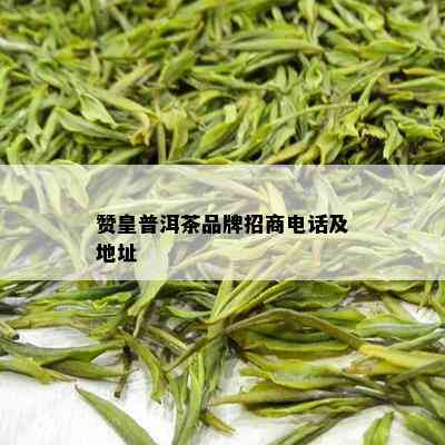 赞皇普洱茶品牌招商电话及地址