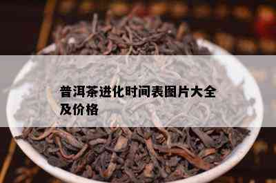 普洱茶进化时间表图片大全及价格