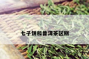 七子饼和普洱茶区别