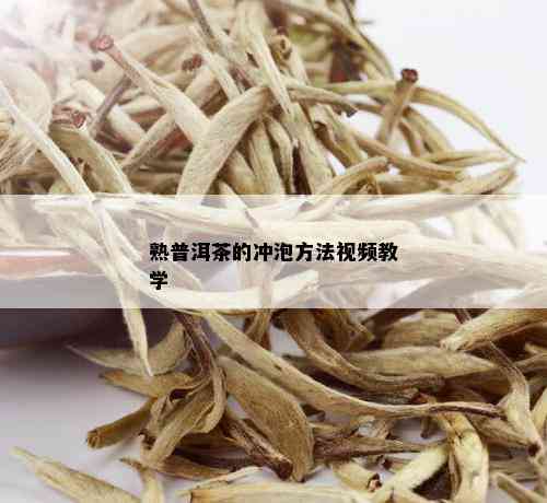 熟普洱茶的冲泡方法视频教学