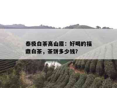 泰极白茶高山眉：好喝的福鼎白茶，茶饼多少钱？