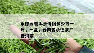 永德园普洱茶价格多少钱一斤，一盒，云南省永德茶厂普洱茶