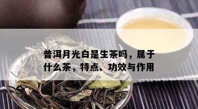 普洱月光白是生茶吗，属于什么茶，特点、功效与作用