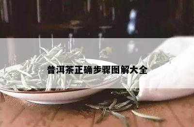 普洱茶正确步骤图解大全