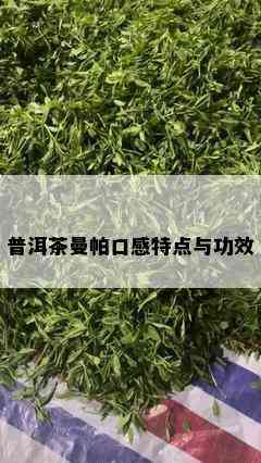 普洱茶曼帕口感特点与功效