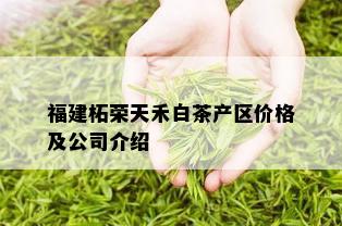 福建柘荣天禾白茶产区价格及公司介绍