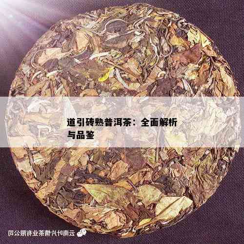 道引砖熟普洱茶：全面解析与品鉴