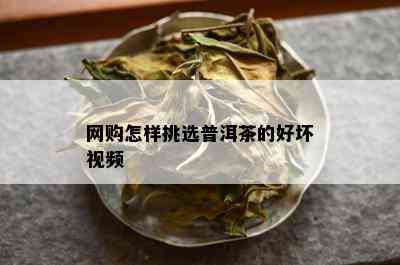 网购怎样挑选普洱茶的好坏视频