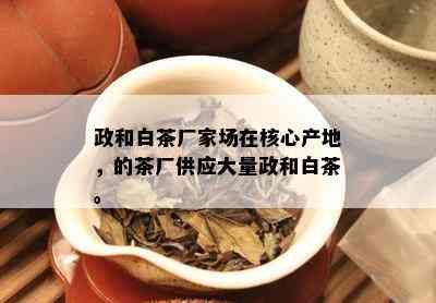 政和白茶厂家场在核心产地，的茶厂供应大量政和白茶。