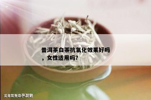 普洱茶白茶抗氧化效果好吗，女性适用吗？