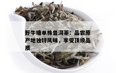 野牛塘单株普洱茶：品尝原产地独特风味，享受顶级品质